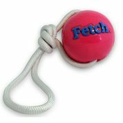 Fetch Ball
