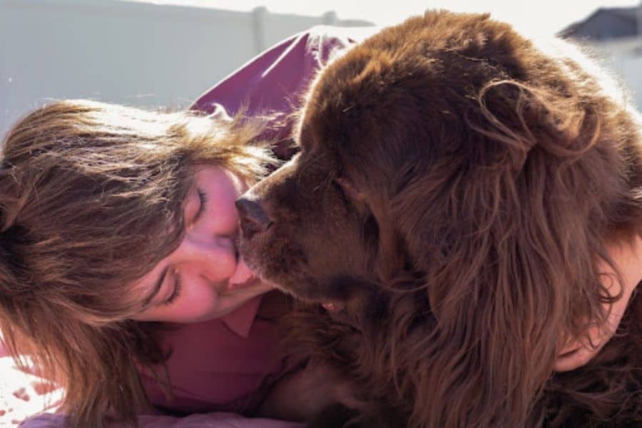 Is Your Pup’s Kiss Safe