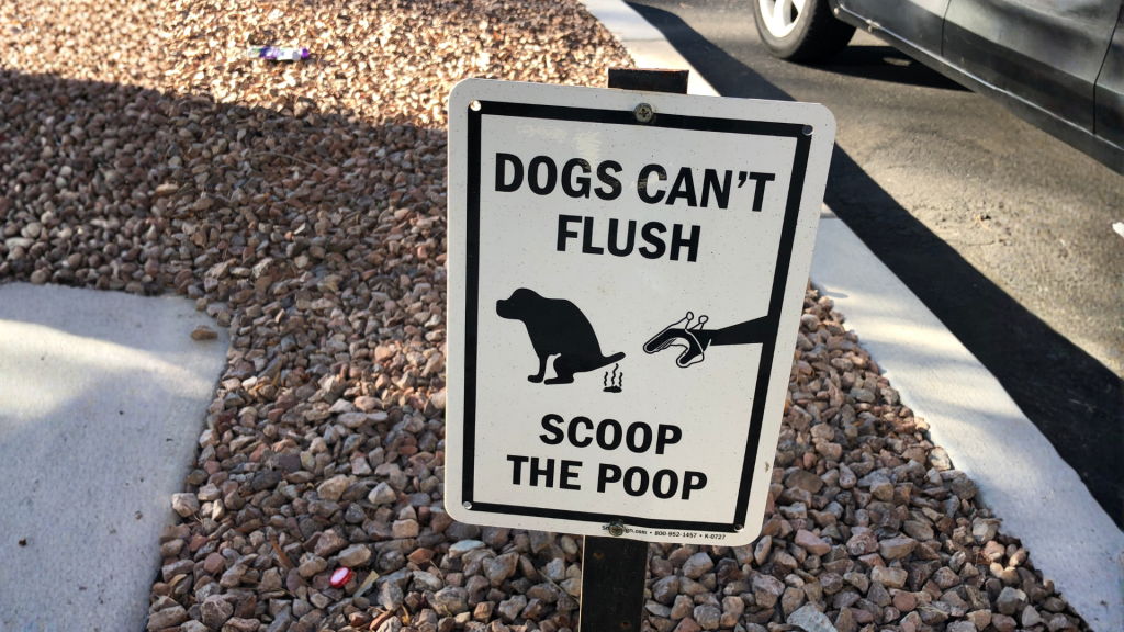 dog poop laws in Fort Collins